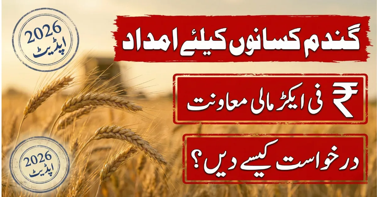 How to Apply for CM Punjab Wheat Support Program 2026 – R.s. 5,000 Per Acre Explained